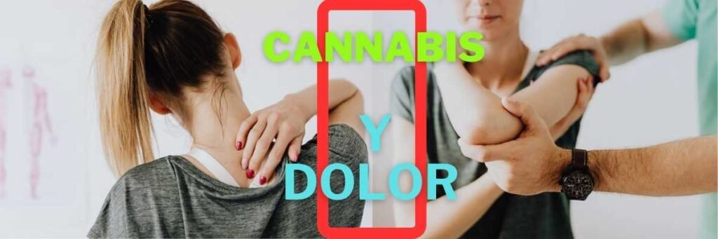 Cannabis y Dolor