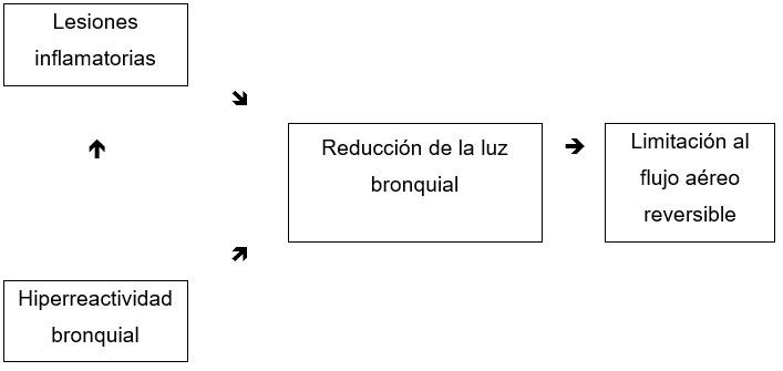 asma_fisiopatología asma_fisiopatología