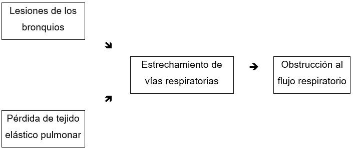 fisiopatologia_epoc fisiopatologia_epoc