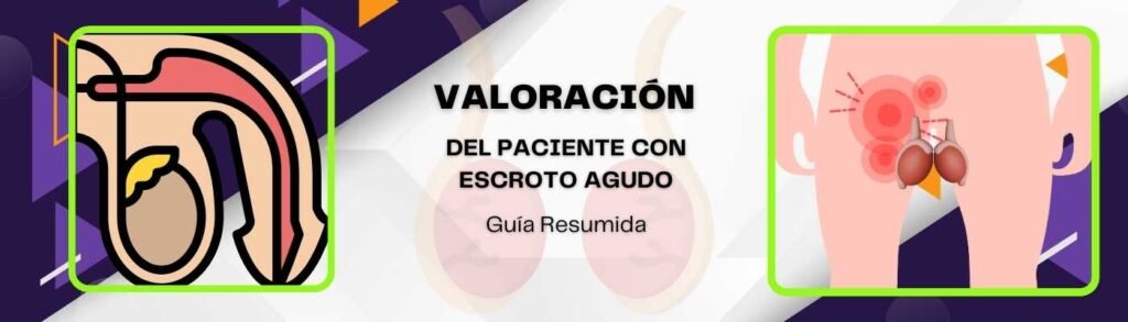 Valoración Del Paciente Con Escroto Agudo: Guía Resumida