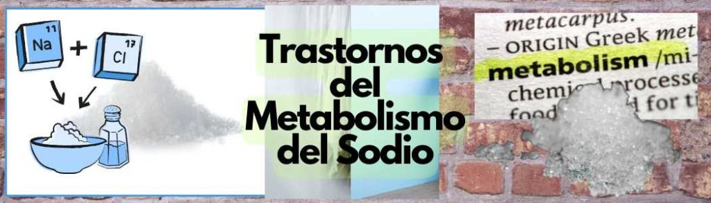 Trastornos del Metabolismo del Sodio