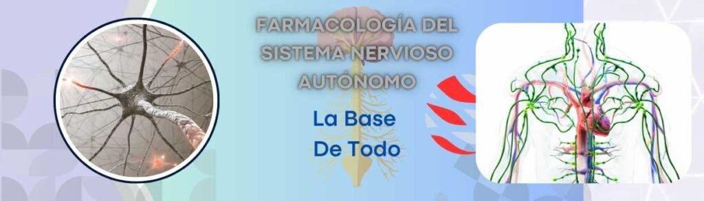 Farmacología Del Sistema Nervioso Autónomo: La Base De Todo