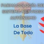 Farmacología Del Sistema Nervioso Autónomo: La Base De Todo