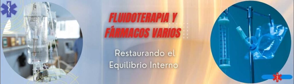 Fluidoterapia Y Fármacos Varios: Restaurando El Equilibrio Interno